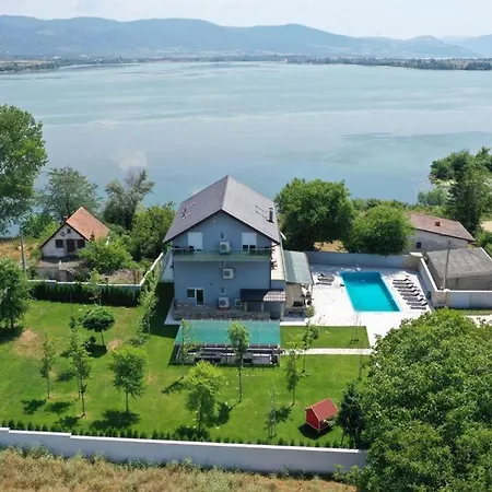 Plavi * Vinci